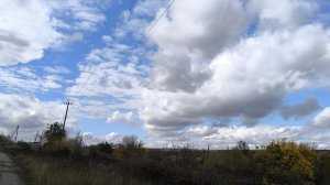 Влог Покупки для дома//Лебеди в Донецке