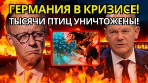 ПОЧЕМУ ГЕРМАНИЯ ТОНЕТ В КРИЗИСЕ! 400 ТЫС. ПТИЦ УНИЧТОЖЕНО! Скандал и экономический удар