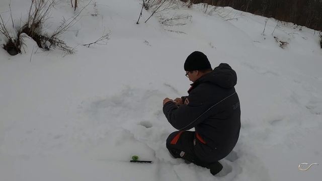 Проверяем как хариус новый год встретил