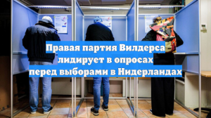 Правая партия Вилдерса лидирует в опросах перед выборами в Нидерландах