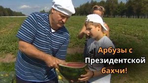 Белорусский арбуз - не хуже южного! Батька знает!
