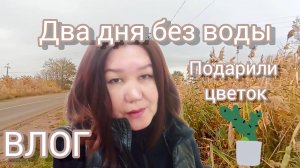 Отключили воду 🙈Не получается продлить страховку 😫Кручусь, как белка в колесе 🌪🐿