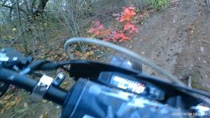 Тропка ПОВОДЫРЬ ТАК СЕБЕ