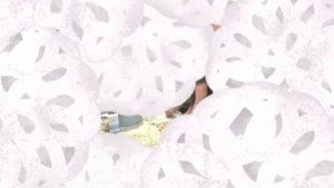 «Активное долголетие»