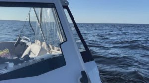 Поймали судаков! Едем на базу рыбака "Форпост Онега" #база_рыбака_форпост_онега