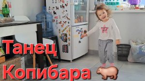 Танец Копибара