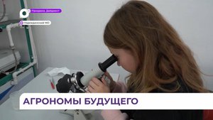 «Умные каникулы» наступили у школьников в посёлке Тавричанка
