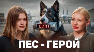 Собака-спасатель: Как собаки предотвращют катастрофы / Догси Подкаст #5