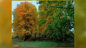 94) 50 КАДРОВ.ОСЕНЬ, Лебедянь.vovich video.