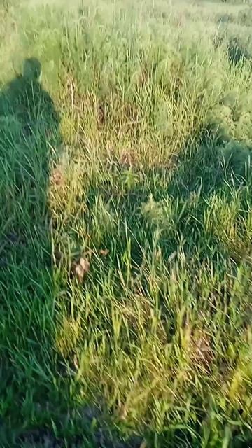 Металлокоп. Хороший металл смотреть онлайн