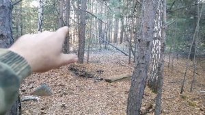 Снова отлично покопал😉😉😉