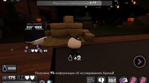 играю в мир денди 15+ этажей в мейн команде