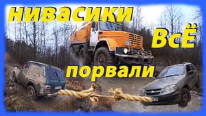 Нивасики порвали ВсЁ