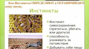 Как Инстинкты ОПРЕДЕЛЯЮТ и ОГРАНИЧИВАЮТ нашу жизнь.