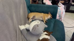 Всем самой доброй ночи и прекрасных снов.