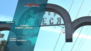 Судьба сквера Олеся