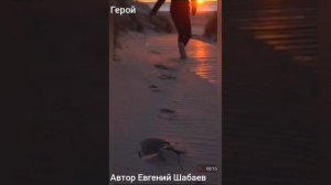 Герой. Автор Евгений Шабаев