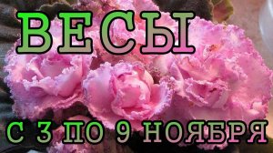 ВЕСЫ таро прогноз на неделю с 3 по 9 НОЯБРЯ 2025 года.