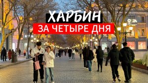 Харбин - аэропорт, Арбат, Софийский собор, парк Сталина, ТЦ 🇨🇳