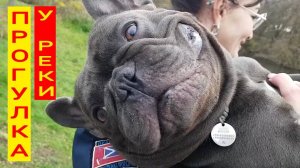 251030 Пристань утки Ремонт дома Лизы Калитиной сквер Дворянское Гнездо камыш река Орлик город Орёл