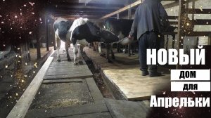 Переводим бычка на новое место