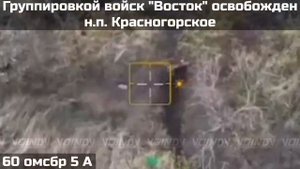 Освобождение н.п. Красногорское, Запорожская область. #СВО