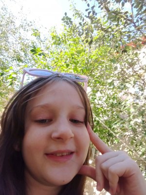 Сочи погулка