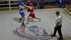 В Рубцовске прошел турнир по боксу памяти Максима Галузина