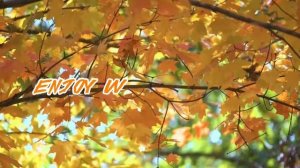 Интро для @Toca love evenss 🤍//TOCA BOCA//intro//TOCA LIFE//TOCA WORLD//тока бока//тока лайф ворлд