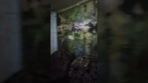 с. Ливенка, Красногвардейского района, Белгородской обл, контактное лицо Наталья 89036425016