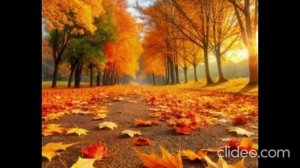 Мальчики со взглядом мудрецов