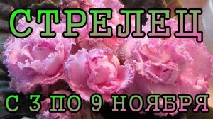 СТРЕЛЕЦ таро прогноз на неделю с 3 по 9 НОЯБРЯ 2025 года.