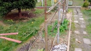 28 октября 2025 г. Я добралась до ёлки! Вот что получилось