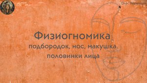 Физиогномика. Подбородок, нос, макушка