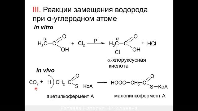 ЛЕКЦИЯ 2. КАРБОНОВЫЕ КИСЛОТЫ смотреть онлайн