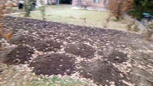 Сибирский огород.Подготовка к зиме