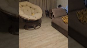 Пришла домой