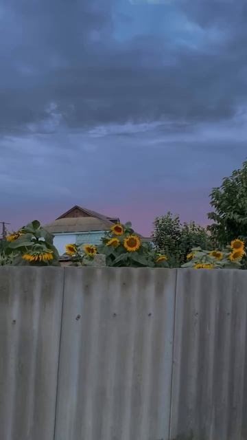 Деревня, лето, отдых смотреть онлайн