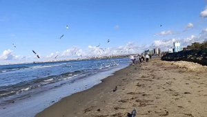 Центральный пляж Анапа 30 Октября 2025 года. Репортаж Светланы Тихоновы.