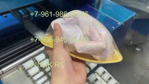 Машина для упаковки в пищевую пленку T-100