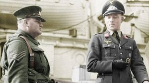 30.10.2025. TAW43. Погоня... )))