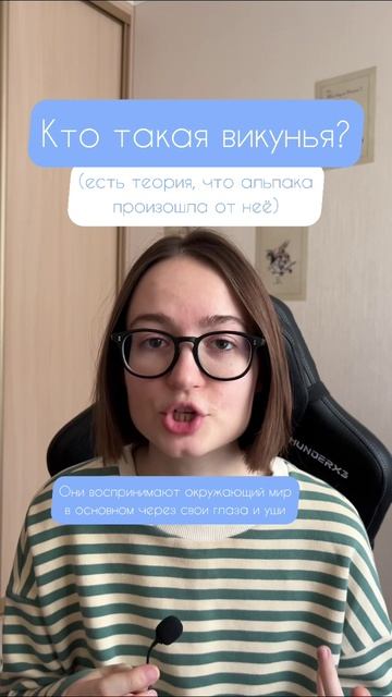 Эксклюзивные видео викуньи (из зоопарка между прочим). Подписывайтесь - будут факты о животных)