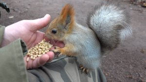 Немного о Балерине. Зарисовка