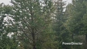 На семи холмах.