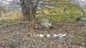 Были да сплыли №17