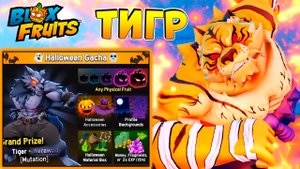 БЛОКС ФРУТС ОБЗОР ТИГРА и ИВЕНТ🍈🌊 Видос админа на русском