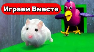ТОП СТРАШНЫХ ЛАБИРИНТОВ С МОНСТРАМИ ДЛЯ УМНОГО ХОМЯКА 🐹 ВИДЕО ПРО ХОМЯКА ДЛЯ ДЕТЕЙ 🐹