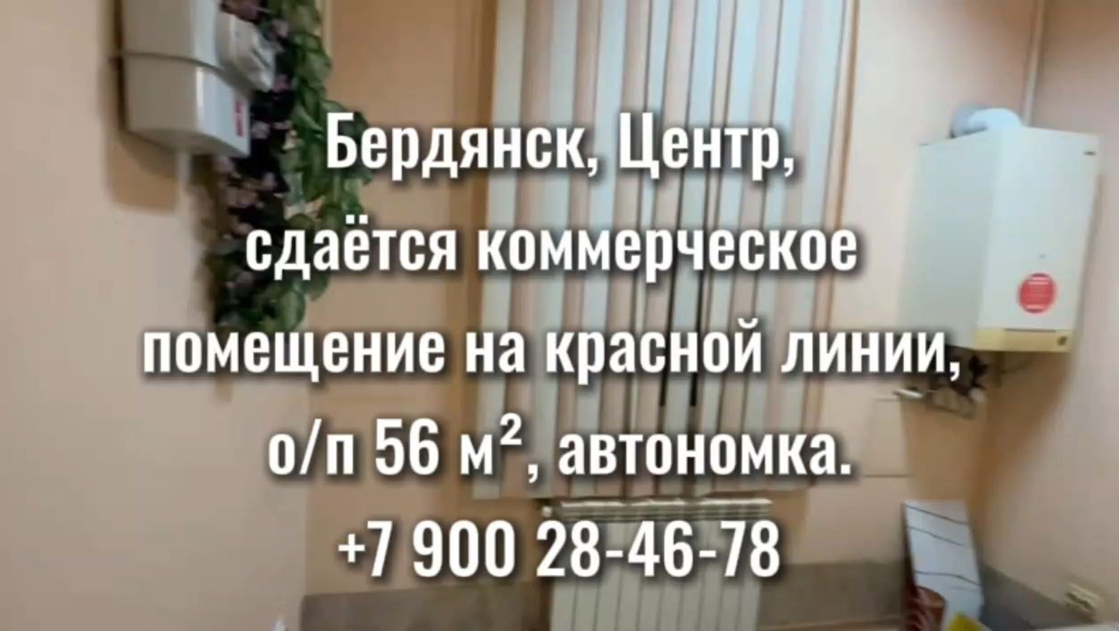 Бердянск. Приморская Площадь. Аренда коммерческой недвижимости смотреть онлайн