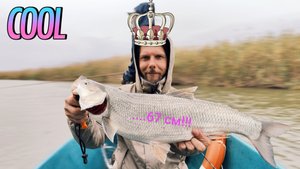 САМАЯ ДЛИННАЯ РЫБА! АСТРАХАНЬ 2025!🎣👍 #рыбалка #fish #fishing #природа #отдых #рыба #spinning #шок