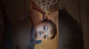 стрим 5 просто разговариваем